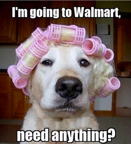 needanything?