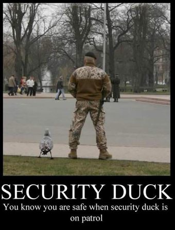 1securityduck